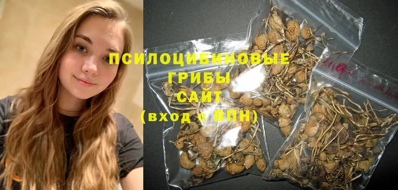 Псилоцибиновые грибы MAGIC MUSHROOMS  купить наркотик  Котово 